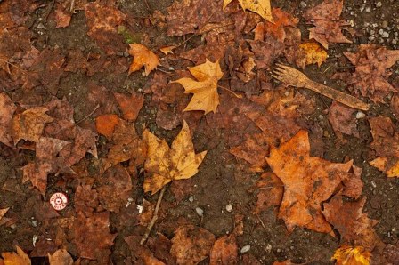 soil pollution
