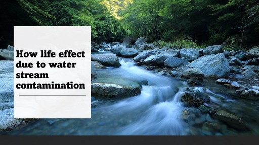 How life effect due to water stream contamination