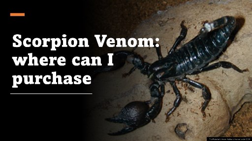 Scorpion Venom where can i purchase